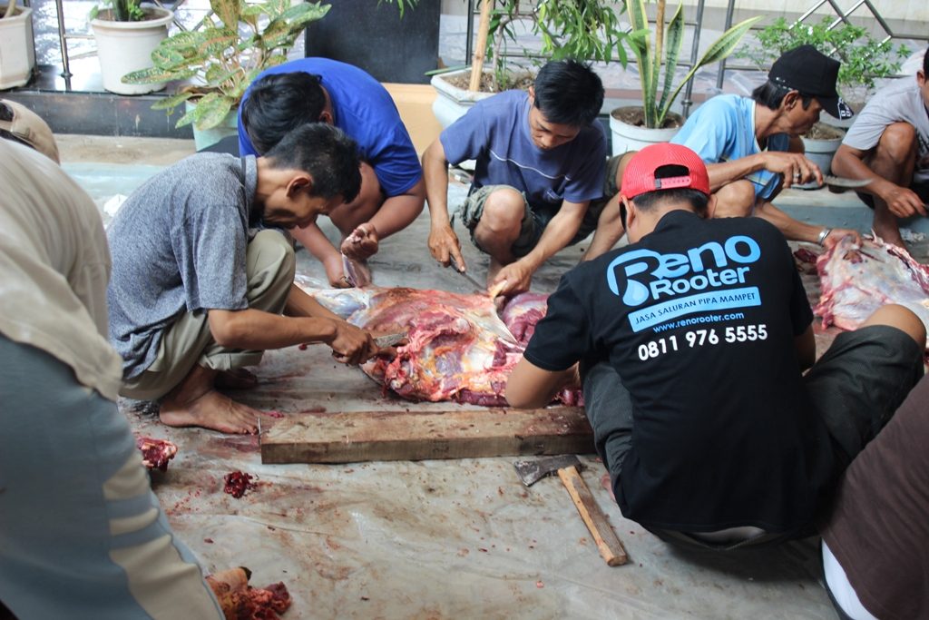 bukti renorooter bermasyarakat sosial